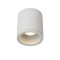 Lucide Aven fehér fürdőszobai mennyezeti lámpa (LUC-22962/01/31) GU10 1 izzós IP65