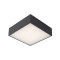 Lucide Roxane fekete LED fürdőszobai mennyezeti lámpa (LUC-27816/10/29) LED 1 izzós IP54