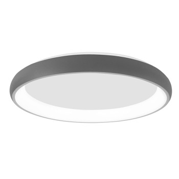 Nova Luce Albi ezüst mennyezeti lámpa (NL-8105617) LED 1 izzós IP20