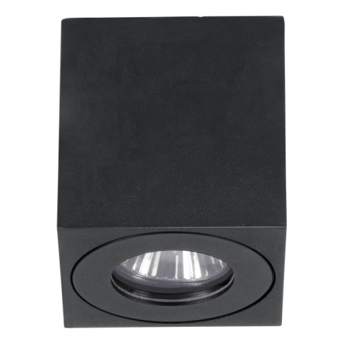 Eglo Torrecola fekete kültéri mennyezeti lámpa (EG-901029) GU10 1 izzós IP44