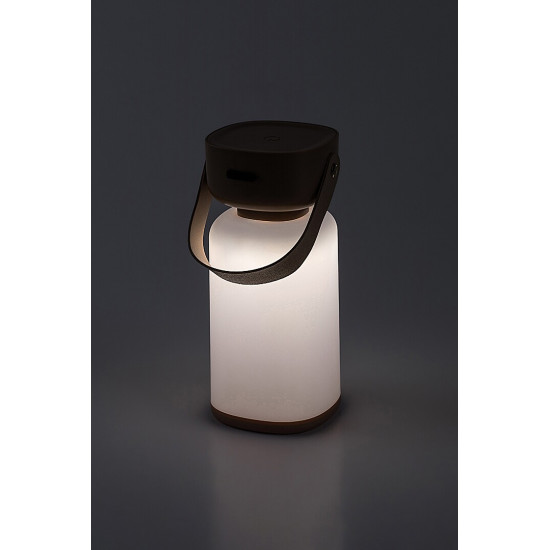 Rábalux Funes barna kültéri hordozható LED asztali lámpa (RAB-77143) LED 1 izzós IP44