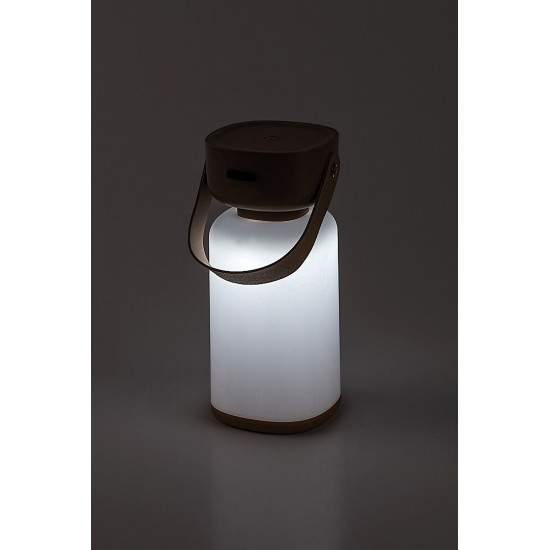 Rábalux Funes barna kültéri hordozható LED asztali lámpa (RAB-77143) LED 1 izzós IP44