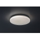 Rábalux Lowar fehér kültéri LED mennyezeti lámpa (RAB-77182) LED 1 izzós IP44