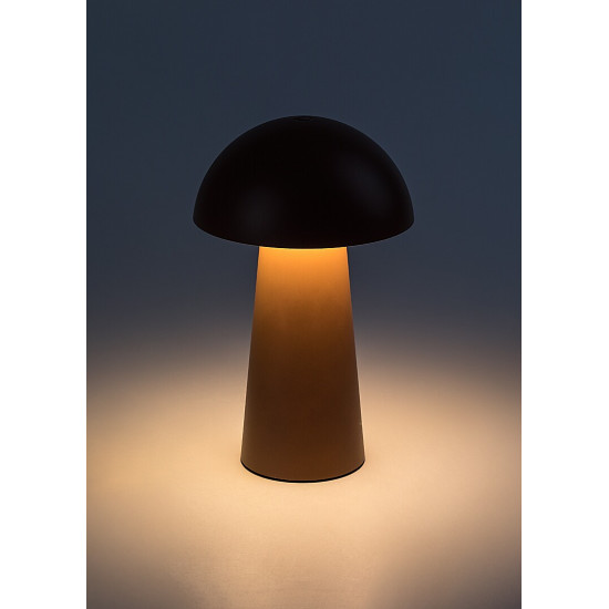 Rábalux Mireo barna hordozható LED asztali lámpa (RAB-76039) LED 1 izzós IP44