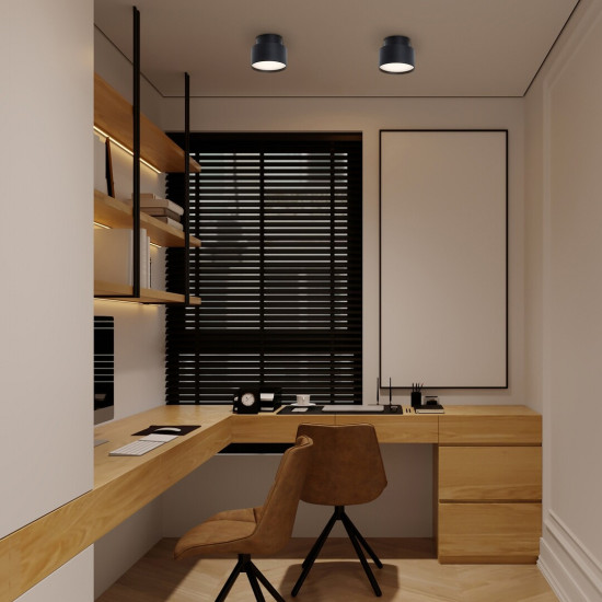 Rábalux Ovidia fekete LED mennyezeti lámpa (RAB-71319) LED 1 izzós IP20