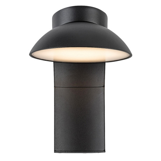 Rábalux Wengen fekete LED kültéri fali lámpa (RAB-77148) LED 1 izzós IP54