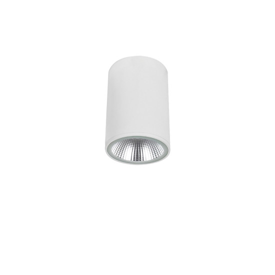 Viokef Dermot fehér fürdőszobai LED mennyezeti lámpa (VIO-4334800) LED 1 izzós IP65