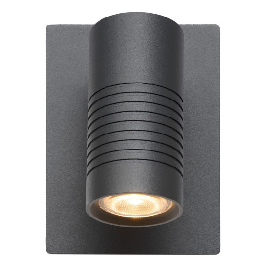 Lucide Bran antracit LED kültéri fali lámpa (LUC-27817/07/29) LED 1 izzós IP54