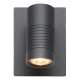 Lucide Bran antracit LED kültéri fali lámpa (LUC-27817/07/29) LED 1 izzós IP54