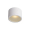 Lucide Lily fehér fürdőszobai mennyezeti lámpa (LUC-17995/01/31) G9 1 izzós IP54