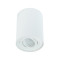 Maxlight Basic Round fehér mennyzeti lámpa (MAX-C0067) GU10 1 izzós IP20