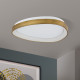 Orion Charlie antik sárgaréz LED mennyezeti lámpa (ORI-DL 7-696/45) LED 1 izzós IP20