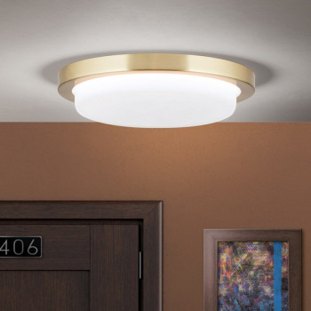 Orion Lerox csiszolt sárgaréz-opál LED mennyezeti lámpa (ORI-DL 7-668/20_B_BR) LED 1 izzós IP20