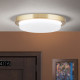 Orion Lerox csiszolt sárgaréz-opál LED mennyezeti lámpa (ORI-DL 7-668/20_B_BR) LED 1 izzós IP20