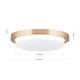 Orion Lerox csiszolt sárgaréz-opál LED mennyezeti lámpa (ORI-DL 7-668/20_B_BR) LED 1 izzós IP20