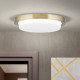 Orion Lerox sárgaréz-opál LED mennyezeti lámpa (ORI-DL 7-668/20_BR) LED 1 izzós IP20