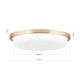 Orion Lerox csiszolt sárgaréz-opál LED mennyezeti lámpa (ORI-DL 7-669/30_B_BR) LED 1 izzós IP20