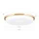 Orion Lerox csiszolt sárgaréz-opál LED mennyezeti lámpa (ORI-DL 7-670/40_B_BR) LED 1 izzós IP20