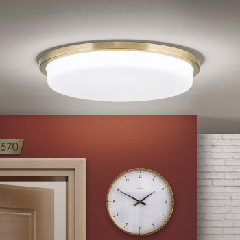 Orion Lerox sárgaréz-opál LED mennyezeti lámpa (ORI-DL 7-670/40_BR) LED 1 izzós IP20