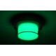 Rábalux Durbe fekete-fehér LED kültéri fali lámpa / LED kültéri mennyezeti lámpa (RAB-7246) LED 1 izzós IP54