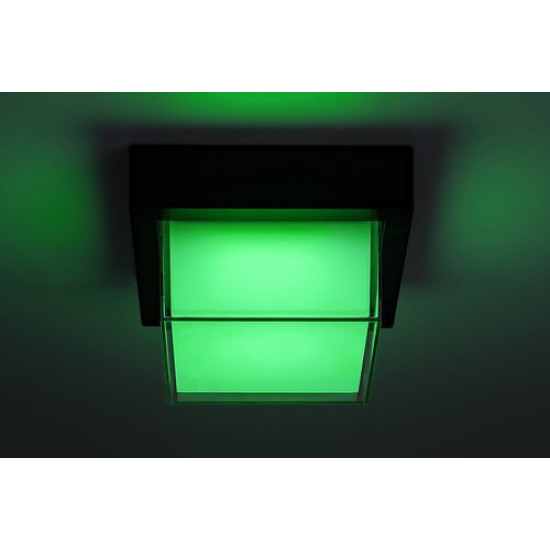 Rábalux Durbe fekete-fehér LED kültéri fali lámpa / LED kültéri mennyezeti lámpa (RAB-7247) LED 1 izzós IP54