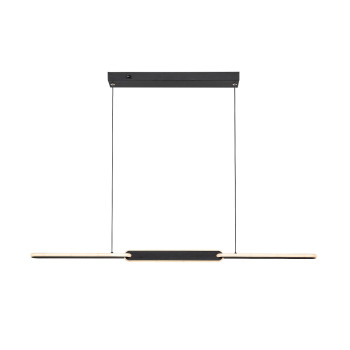Rábalux Sindri fekete LED függesztett lámpa (RAB-72231) LED 1 izzós IP20