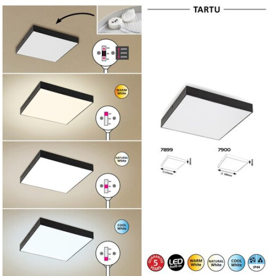 Rábalux Tartu matt fekete-fehér LED kültéri mennyezeti lámpa (RAB-7900) LED 1 izzós IP44