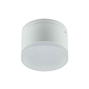 Redo Akron fehér LED kültéri mennyezeti lámpa (RED-90106) LED 1 izzós IP54