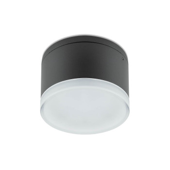 Redo Akron sötétszürke-fehér LED kültéri mennyezeti lámpa (RED-90107) LED 1 izzós IP54