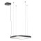 Redo Orion fekete LED függesztett lámpa (RED-01-3893_DALI) LED 1 izzós IP20