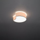 Sollux Circle 1 fehér mennyezeti lámpa (SOL-SL.1050) E27 2 izzós IP20