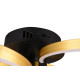 Trio Caruso arany-fekete LED mennyezeti lámpa (TRI-648110680) LED 1 izzós IP20
