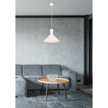 Trio Enzo fehér függesztett lámpa (TRI-R30781931) E27 1 izzós IP20