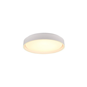 Trio Felis fehér LED mennyezeti lámpa (TRI-R64391031) LED 1 izzós IP20