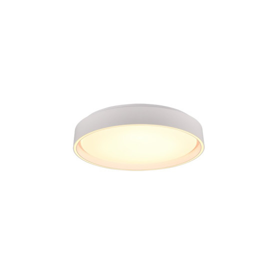Trio Felis fehér LED mennyezeti lámpa (TRI-R64391031) LED 1 izzós IP20