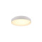 Trio Felis fehér LED mennyezeti lámpa (TRI-R64391031) LED 1 izzós IP20