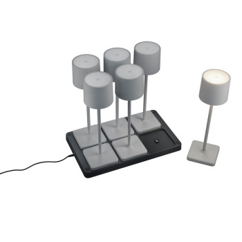 Trio Fernandez szürke LED kültéri asztali lámpa szett (TRI-R54096677) LED 6 izzós IP54