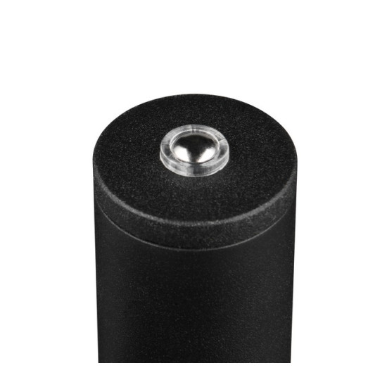Trio Gomez fekete LED állólámpa (TRI-R44571132) LED 1 izzós IP20