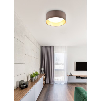 Trio Locarno barna LED mennyezeti lámpa (TRI-R64191141) LED 1 izzós IP20