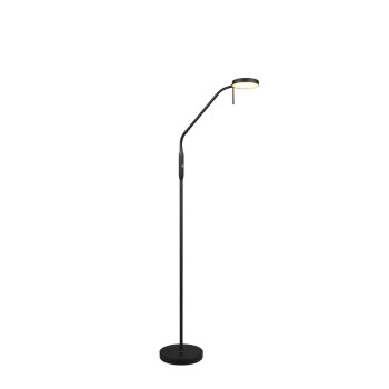 Trio Moreno fekete LED állólámpa (TRI-R44561132) LED 1 izzós IP20
