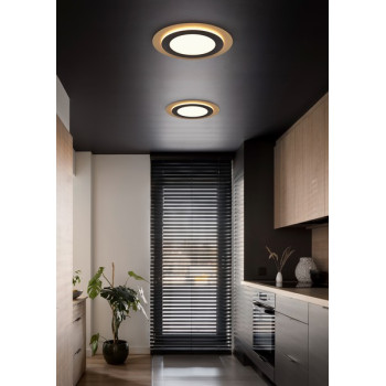 Trio Morgan fekete-arany LED mennyezeti lámpa (TRI-641519280) LED 1 izzós IP20