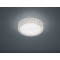 Trio Pegasus átlátszó LED mennyezeti lámpa (TRI-R62421100) LED 1 izzós IP20