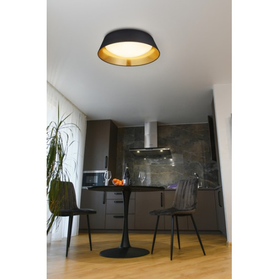 Trio Ponts fekete-arany LED mennyezeti lámpa (TRI-R62871879) LED 1 izzós IP20