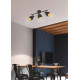 Trio Punch fekete-arany mennyezeti lámpa (TRI-R80813032) E14 3 izzós IP20