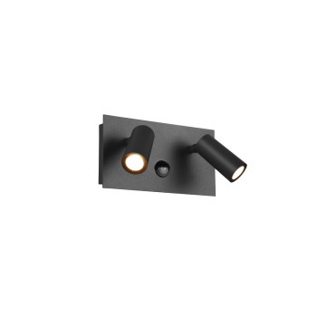 Trio Tunga antracit LED kültéri falikar (TRI-222969242) LED 2 izzós IP54