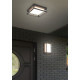 Trio Witham anracit-fehér LED kültéri mennyezeti lámpa (TRI-677860142) LED 1 izzós IP54