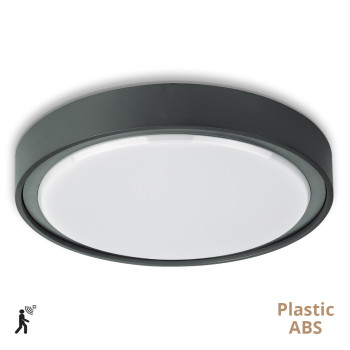 Viokef Anabella sötétszürke LED kültéri mennyezeti lámpa (VIO-4283100) LED 1 izzós IP65