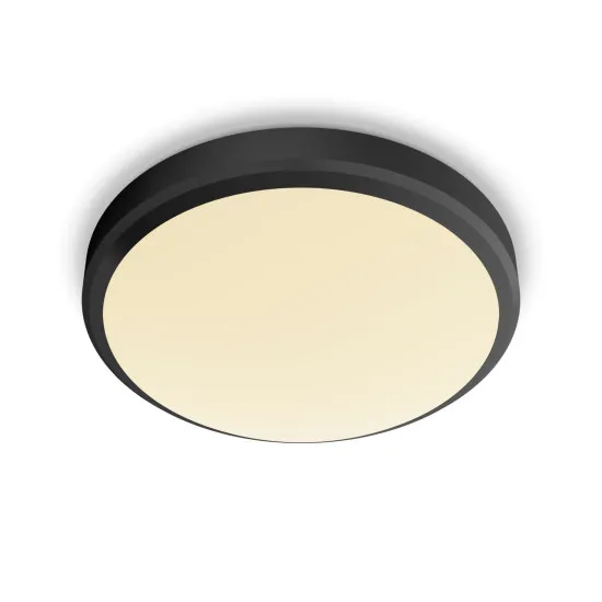 Philips Doris fekete fürdőszobai LED mennyezeti lámpa (PHI-8719514326583) LED 1 izzós IP44