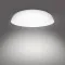 Philips Fleta fehér LED mennyezeti lámpa (PHI-8720169301030) LED 1 izzós IP20