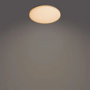 Philips Izso fehér LED mennyezeti lámpa (PHI-8720169196070) LED 1 izzós IP20